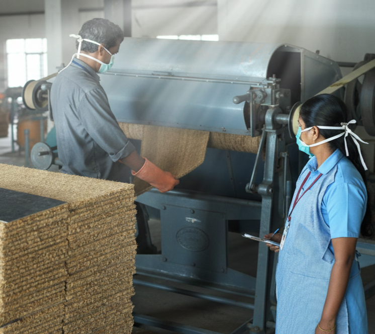 Shearing and Bleaching